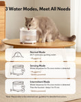 Load image into Gallery viewer, HomerunPet Wireless Pet Water Fountain - Chargeable Battery