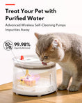 Load image into Gallery viewer, HomerunPet Pet Water Fountain - UVC Sterilizing Wireless Pump