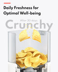 Load image into Gallery viewer, HomerunPet Smart Pet Feeder - Mobile APP Control (Stainless Steel Bowl)
