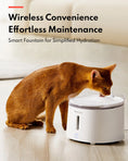 Load image into Gallery viewer, HomerunPet Pet Water Fountain - Wireless Pump