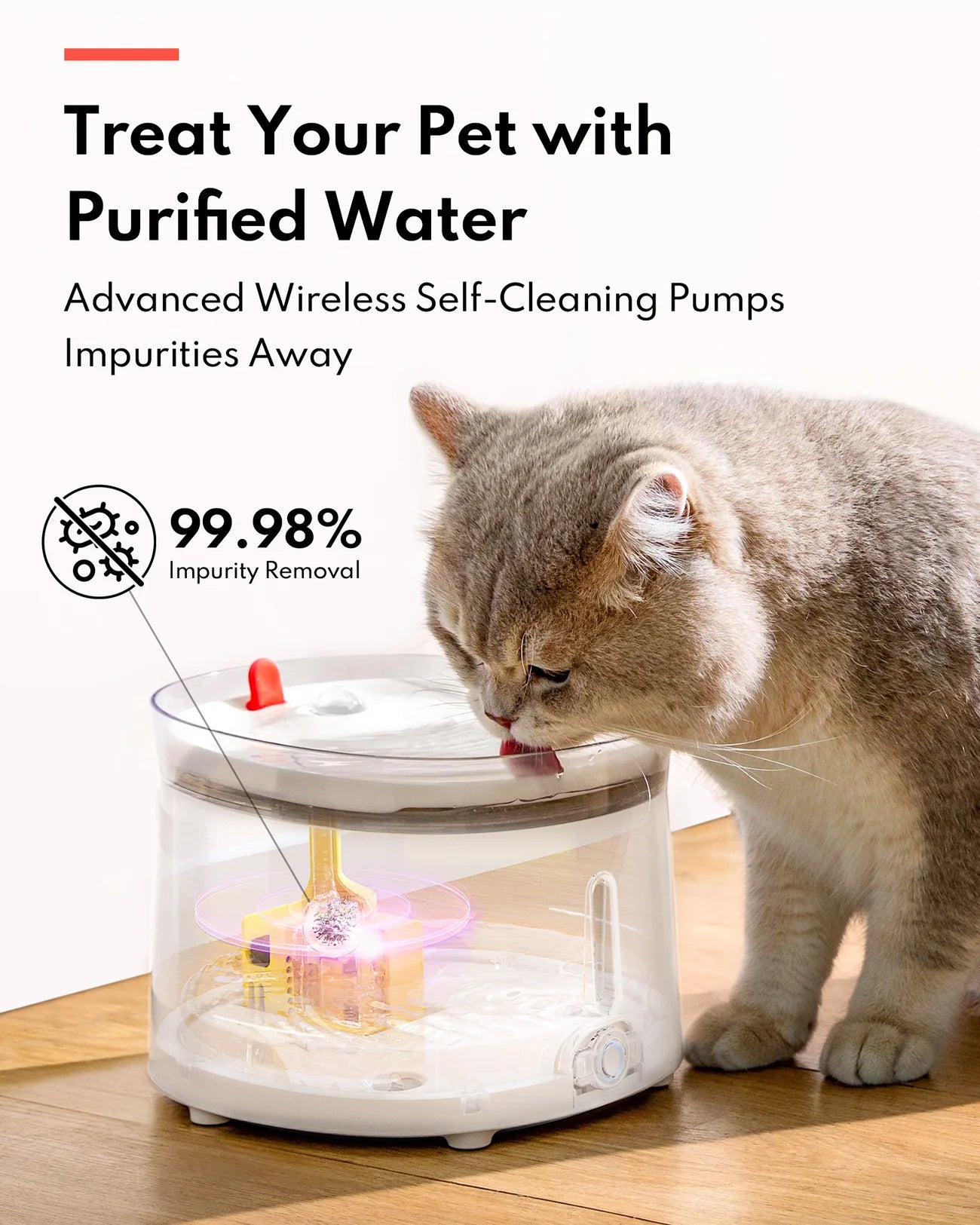 HomerunPet Pet Water Fountain - UVC Sterilizing Wireless Pump
