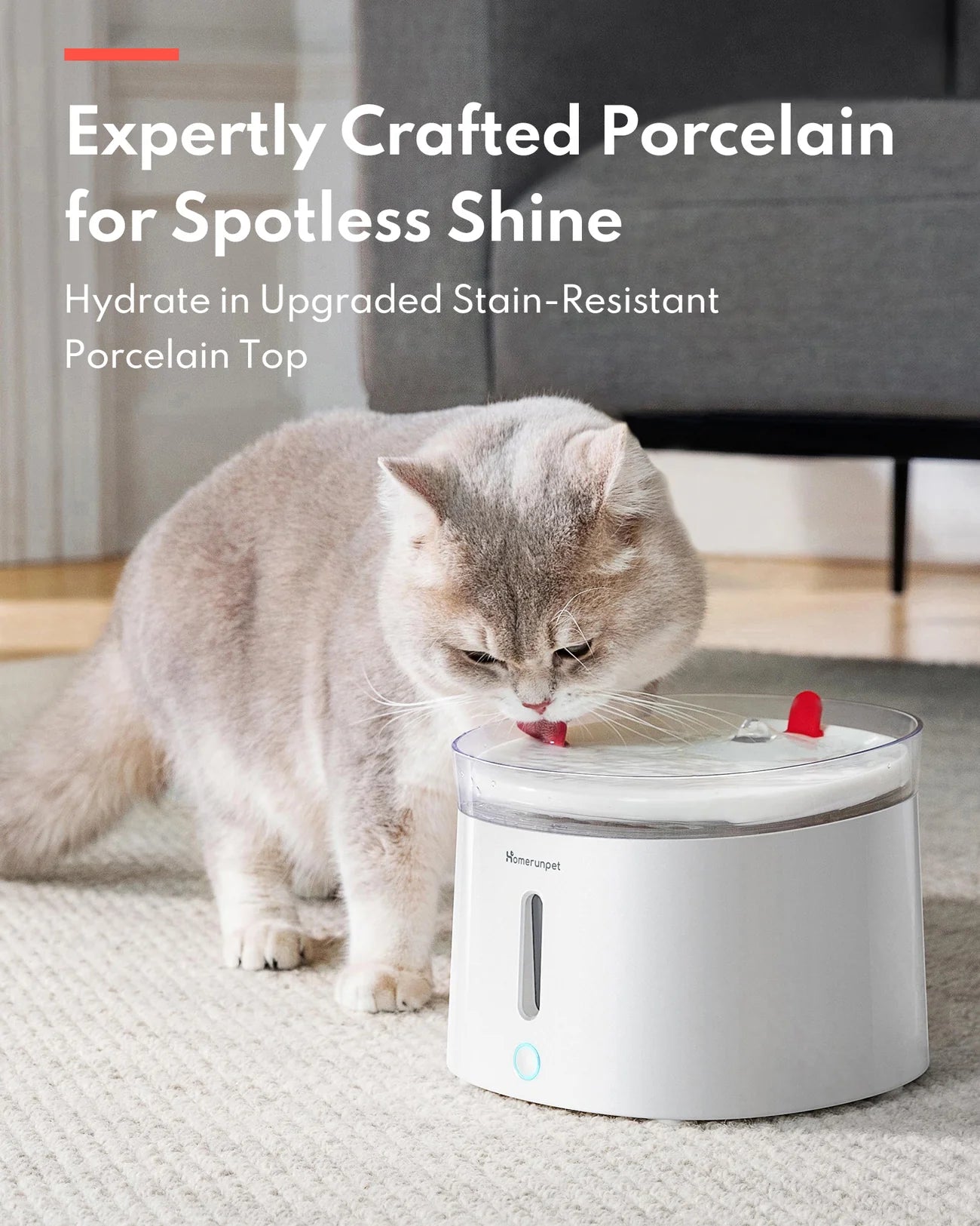 HomerunPet Pet Water Fountain - UVC Sterilizing Wireless Pump