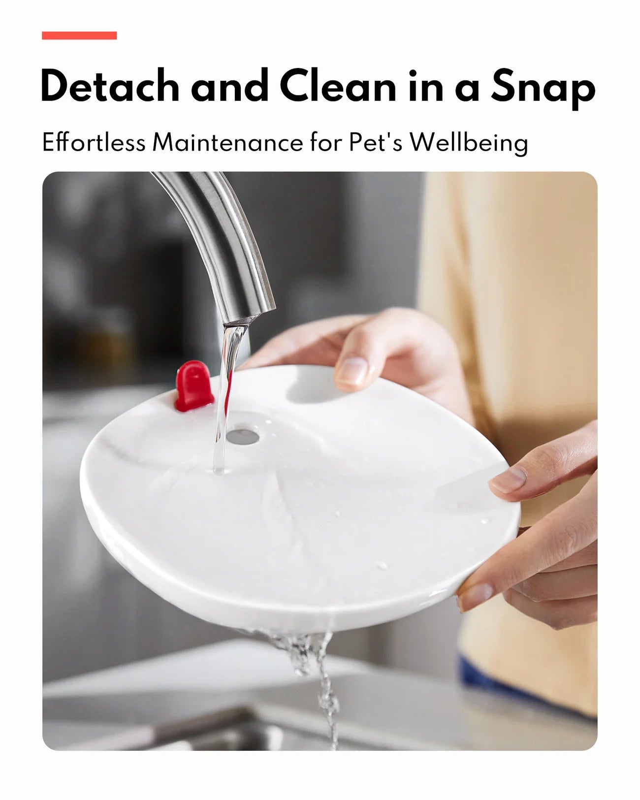 HomerunPet Pet Water Fountain - UVC Sterilizing Wireless Pump