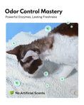 Load image into Gallery viewer, HomerunPet Tapioca Cat Litter - 10lb
