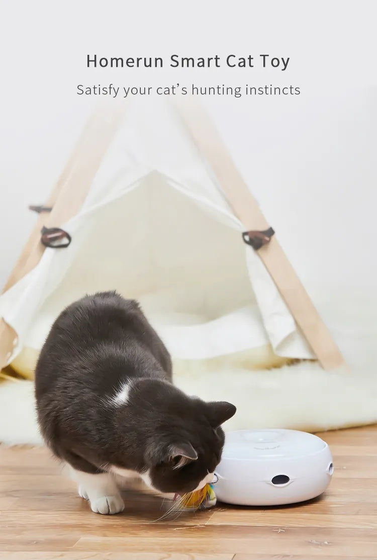 HomerunPet Interactive Electric Cat Toy