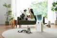 Load image into Gallery viewer, HomerunPet Air Purifier
