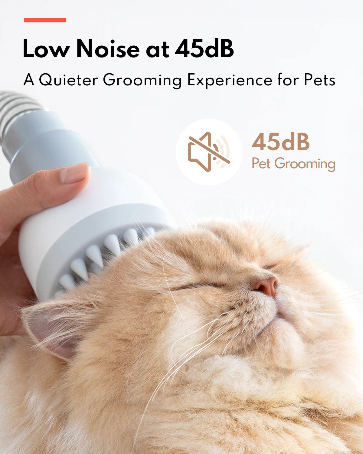 HomerunPet Pet Grooming Kit Vacuum