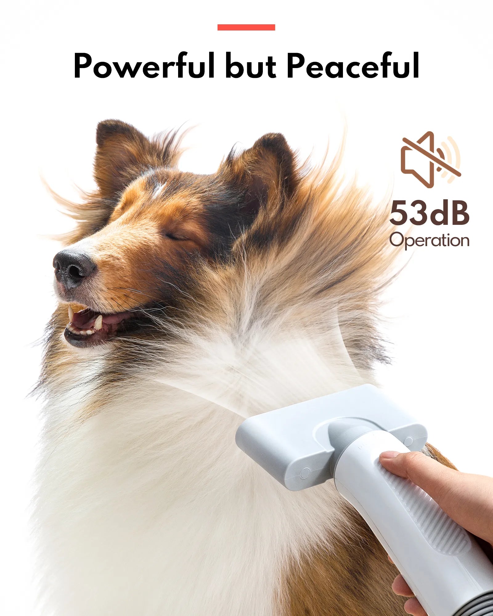 HomerunPet Pet Grooming Blaster