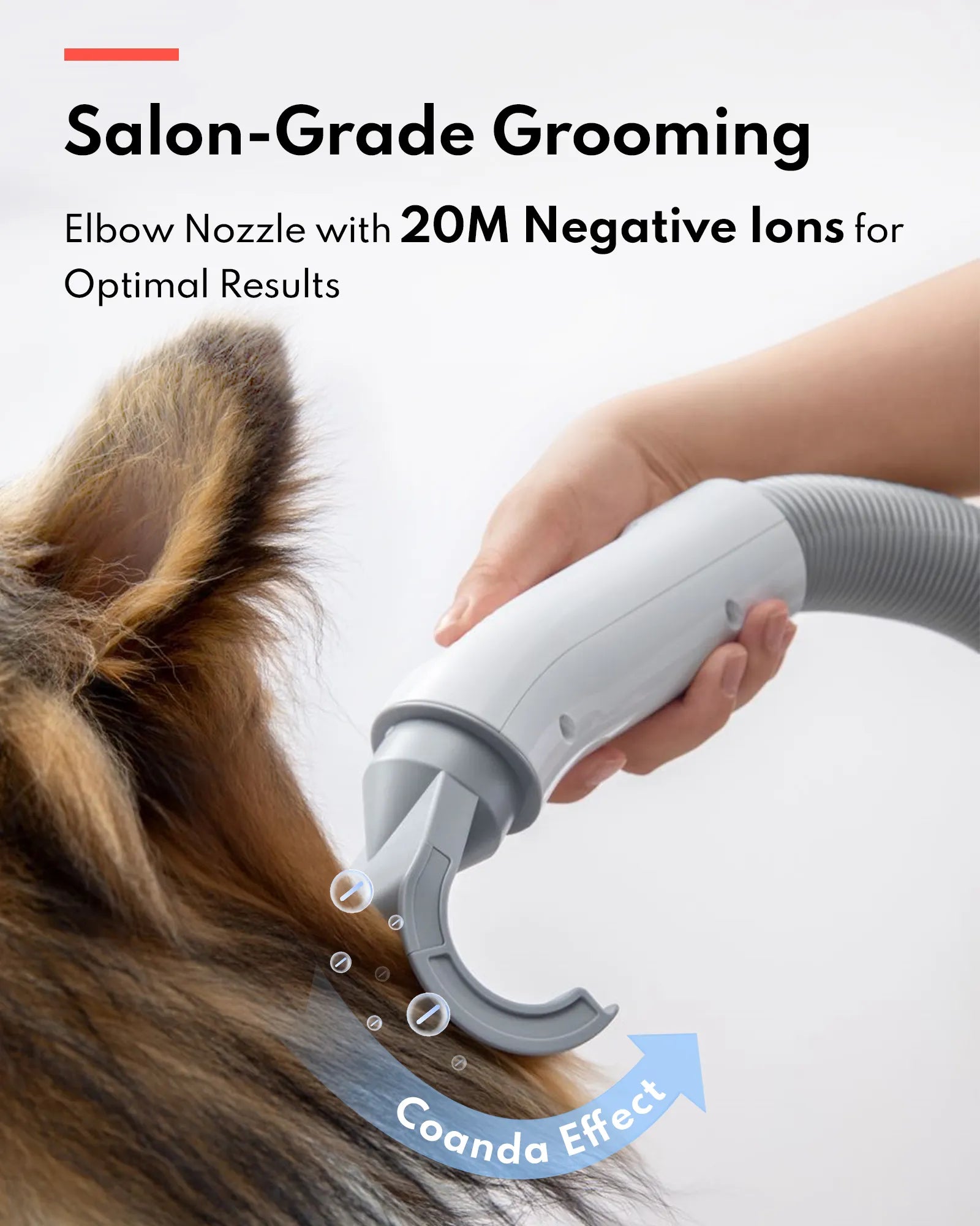 HomerunPet Pet Grooming Blaster
