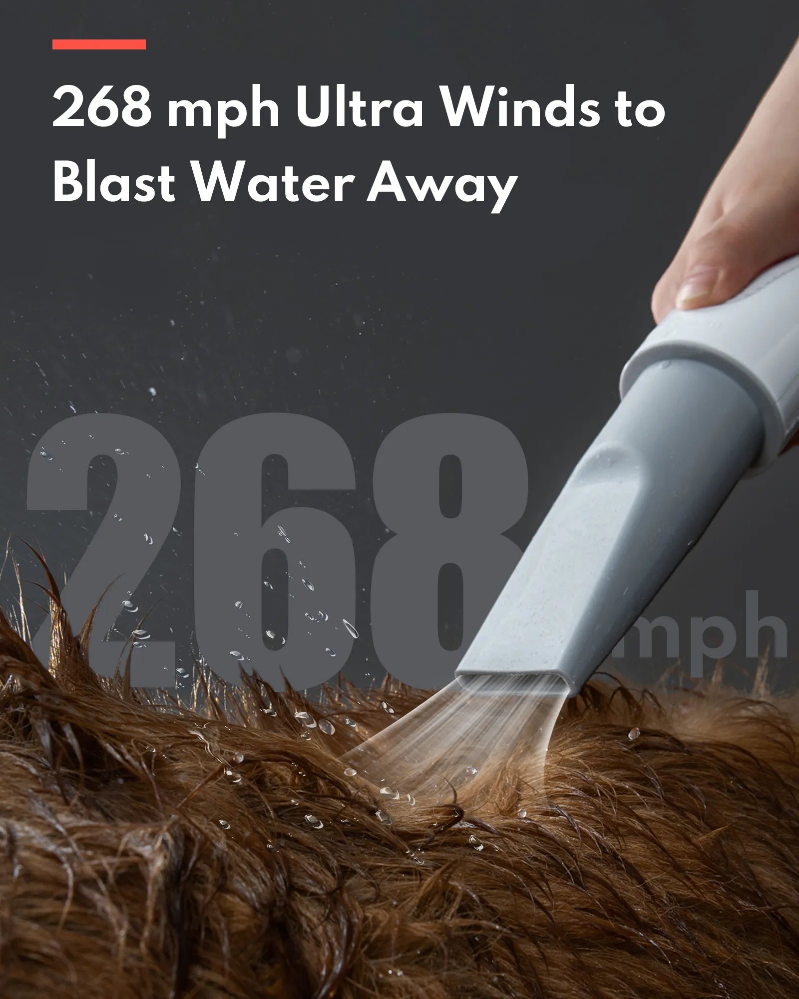 HomerunPet Pet Grooming Blaster