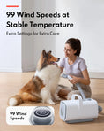 Load image into Gallery viewer, HomerunPet Pet Grooming Blaster
