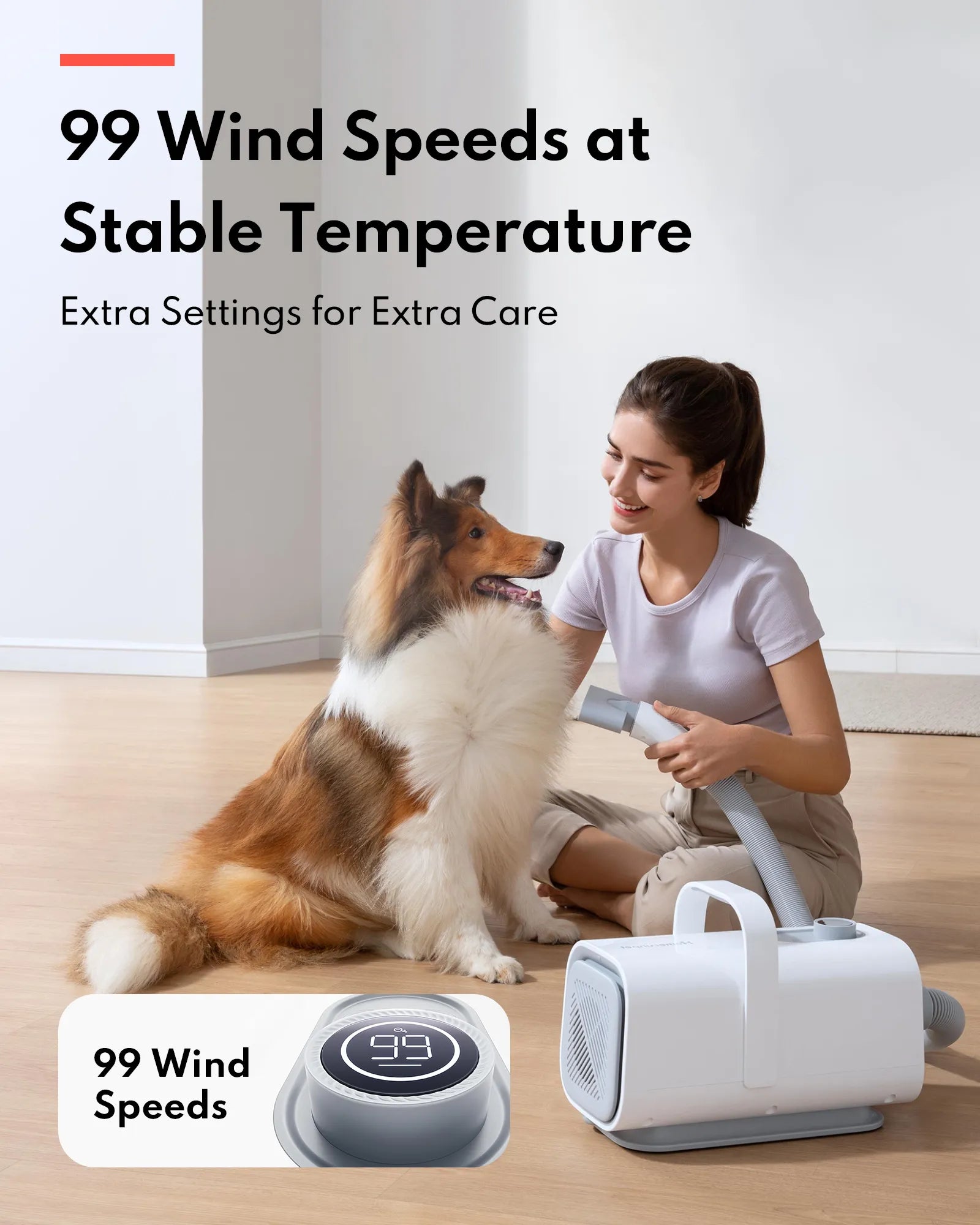 HomerunPet Pet Grooming Blaster