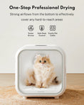 Load image into Gallery viewer, HomerunPet Drybo Pet Drying Pod - 50L

