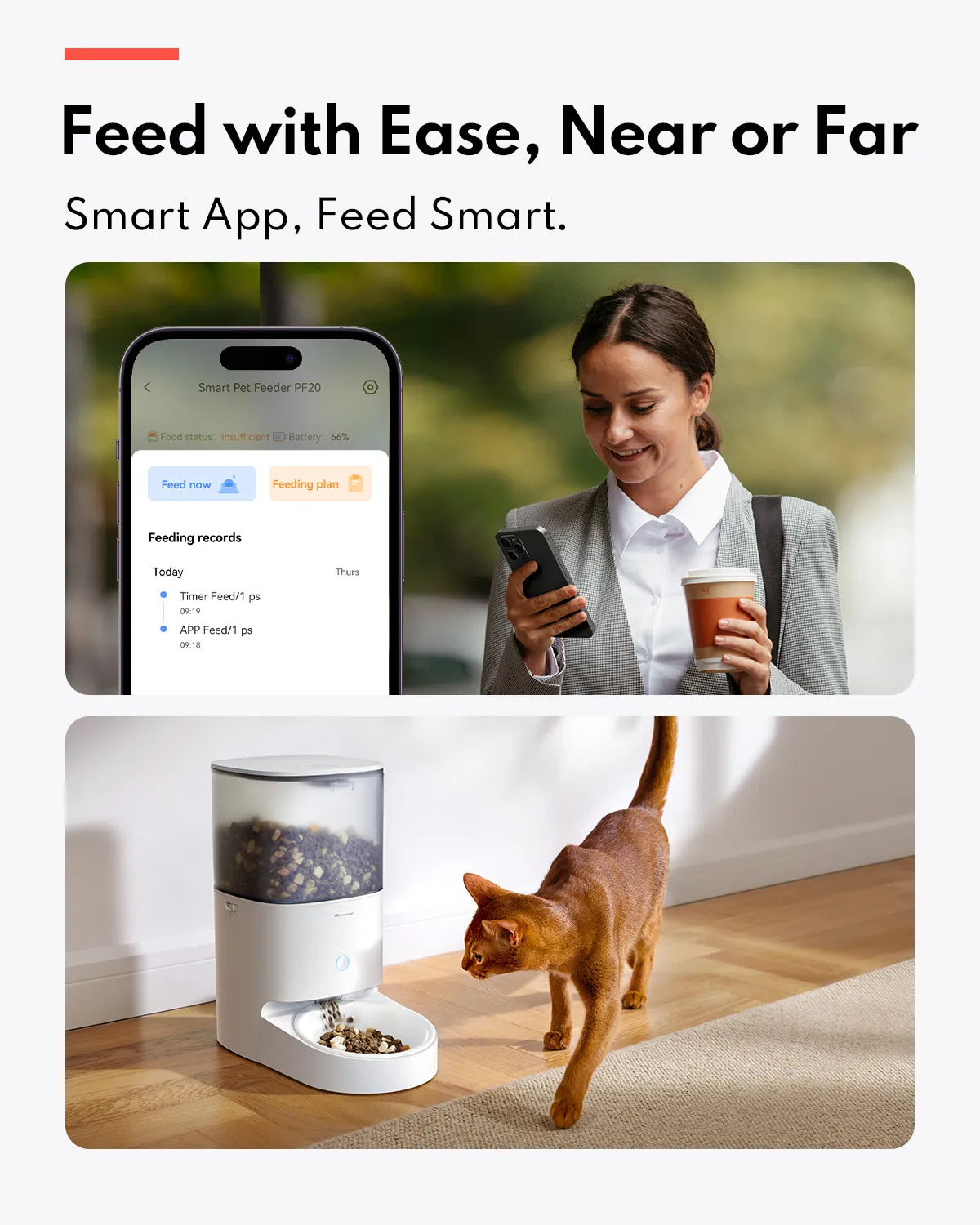 HomerunPet Smart Pet Feeder - Mobile APP Control (Stainless Steel Bowl)